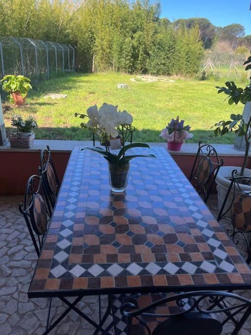 Casale Monte Del Gatto Casa vacanze Roma